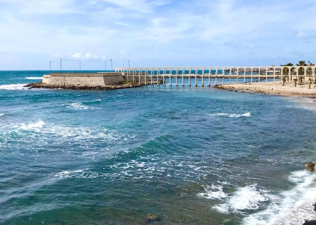 Mowita Lägenhet Civitavecchia Exteriör bild